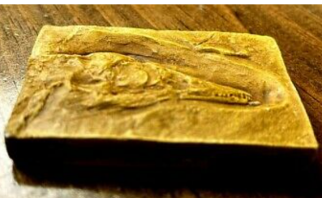 Archaeopteryx first bird skull cast replica