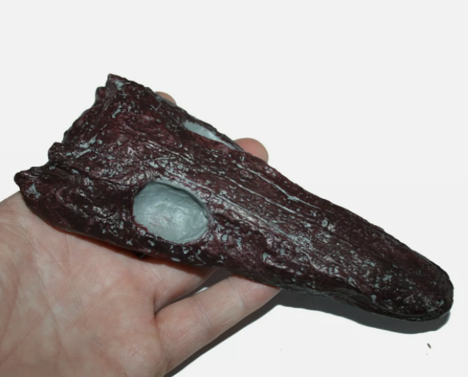 Archeria skull fossil cast replica Texas