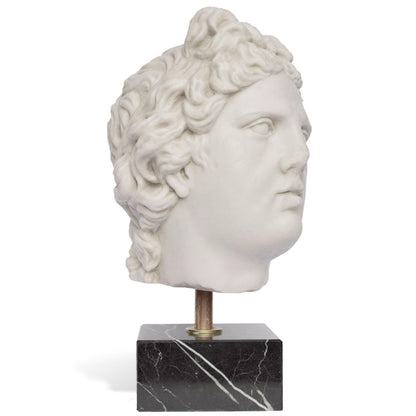 Testa di Artemide in marmo