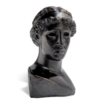 Testa in Bronzo di Atena Lemnia