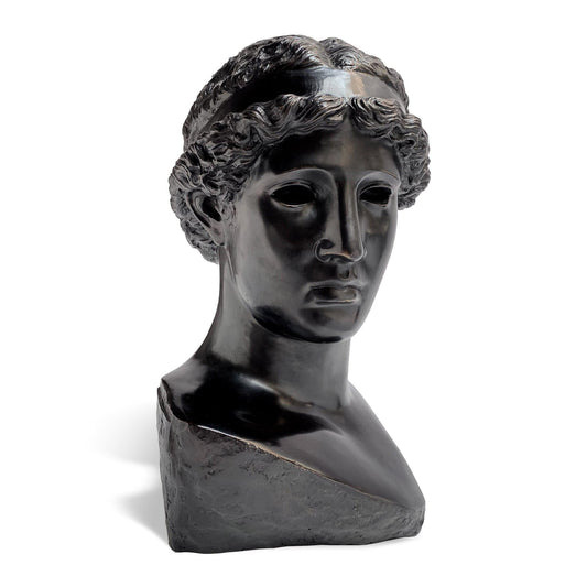 Testa in Bronzo di Atena Lemnia