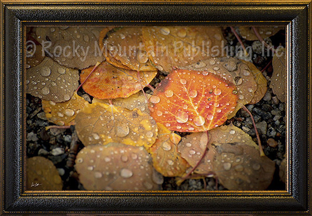 At Peace ¨C Framed Giclee Canvas by Dan Ballard