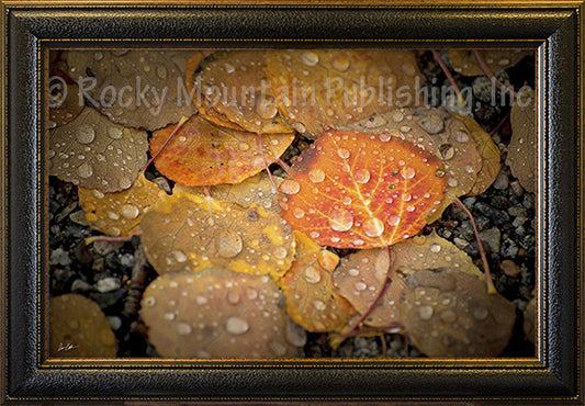 At Peace ¨C Framed Giclee Canvas by Dan Ballard