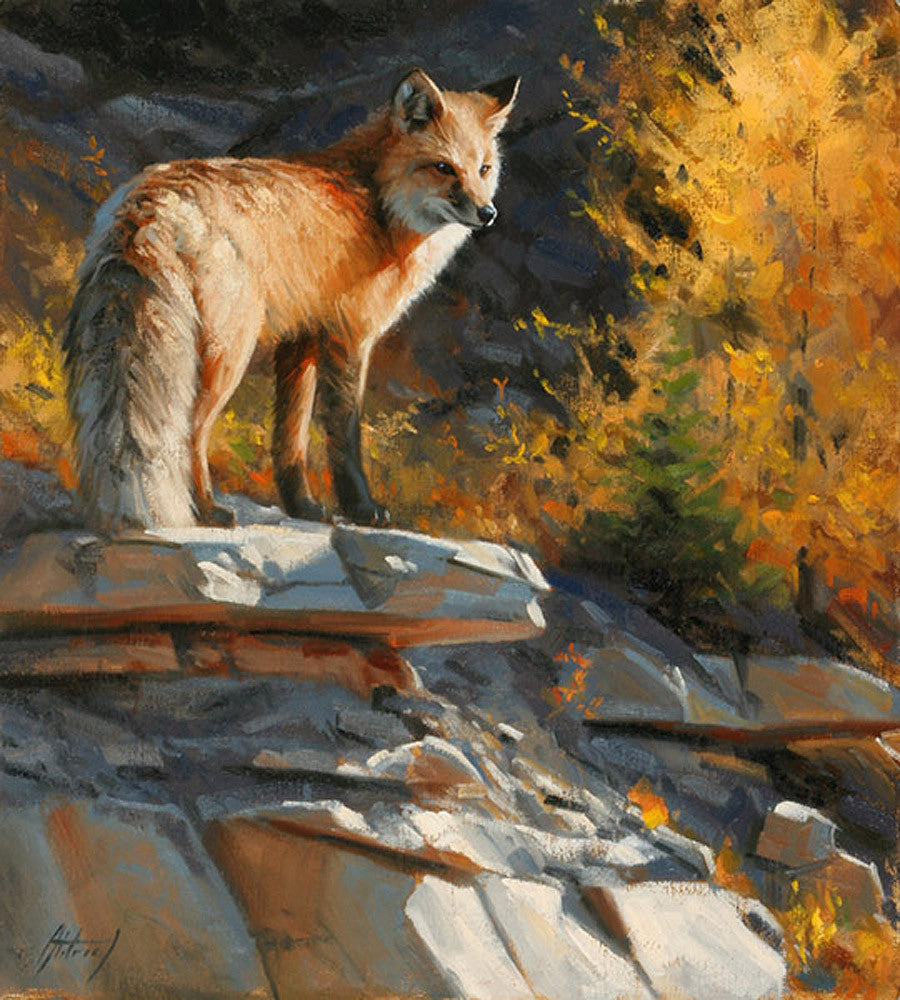 Autumn Vigil - Fox Art Prints by Edward Aldrich