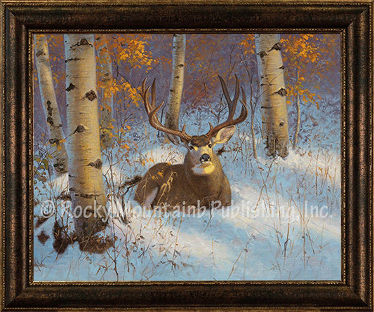 Aspen Sactuary ¨C Framed Giclee Canvas by Hayden Lambson