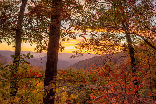 Appalachian Dreaming by Jason Clemmons