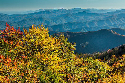 Appalachian Waves Artwork by Jason Clemmons