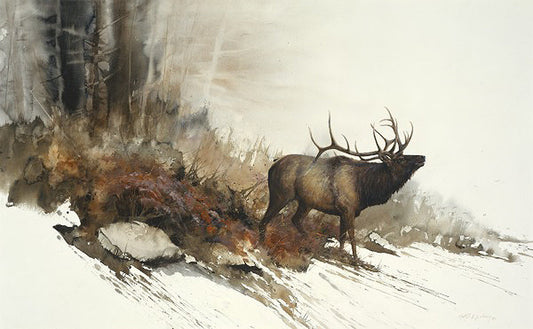 Autumn Challenge Art Prints by Morten E Solberg Artist
