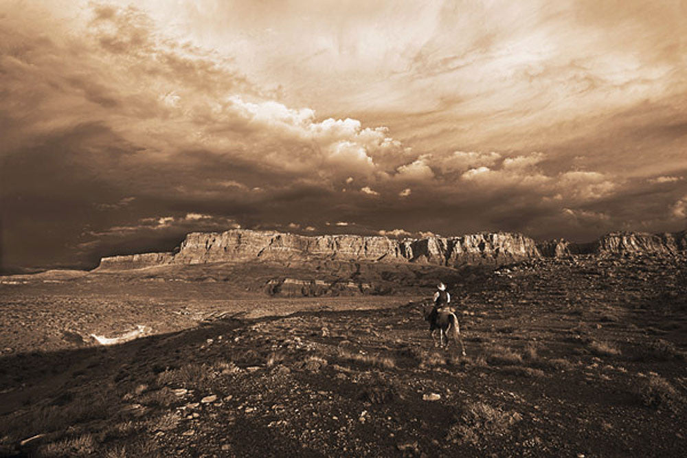 Arizona Morning Sepia Art Prints by Robert Dawson Artist