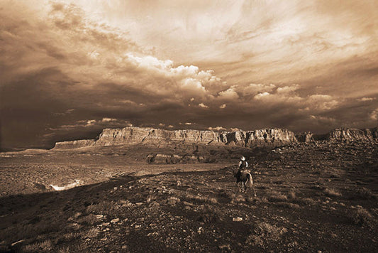 Arizona Morning Sepia Art Prints by Robert Dawson Artist