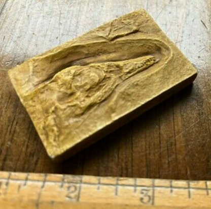 Archaeopteryx first bird skull cast replica
