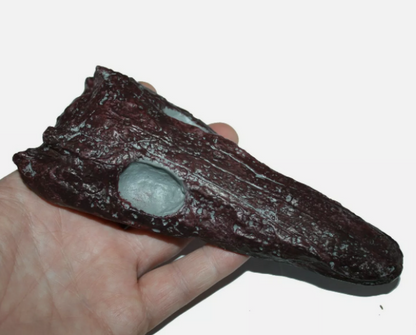 Archeria skull fossil cast replica Texas