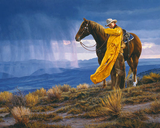 A Storm Across the Valley by Tim Cox