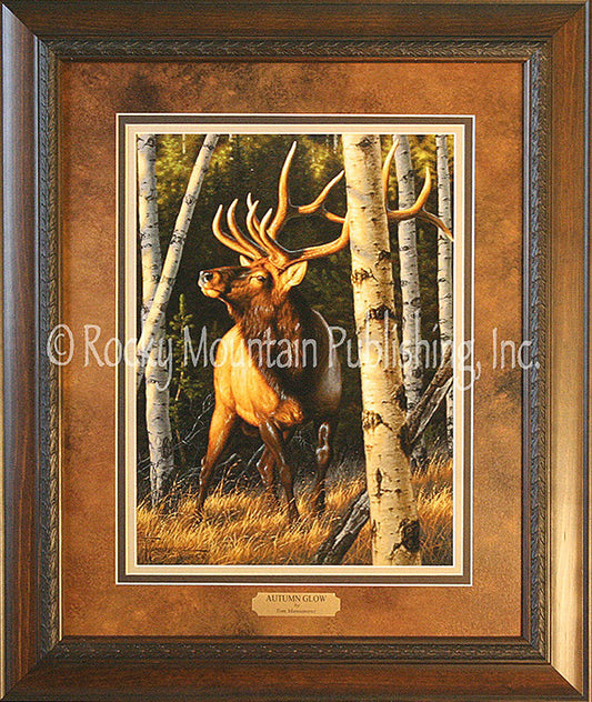 Autumn Glow ¨C Framed Print by Tom Mansanarez