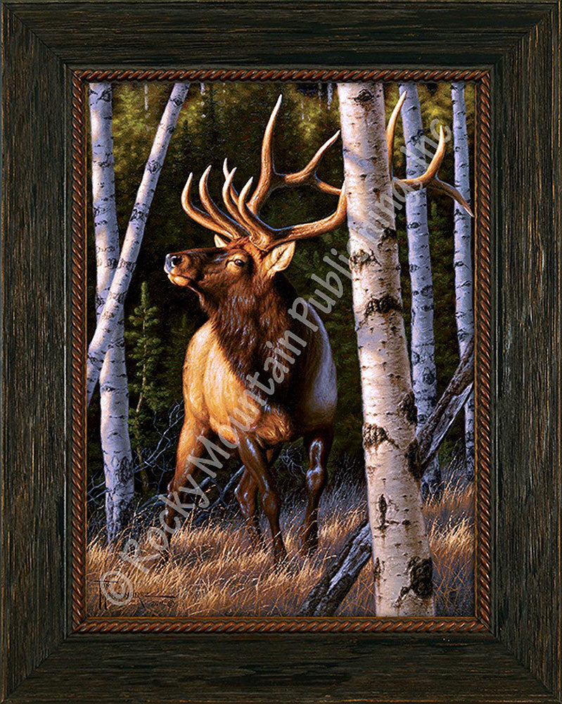 Autumn Glow ¨C Framed Print by Tom Mansanarez