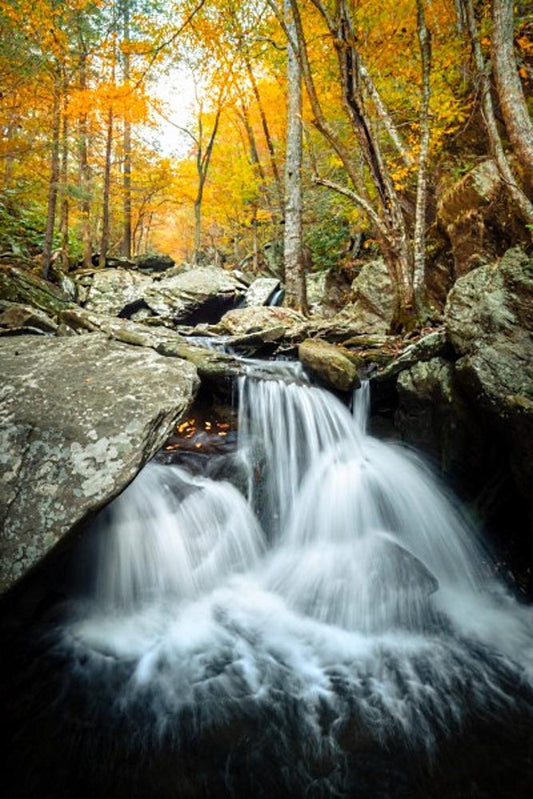 Autumn Bliss Art Prints by Jason Clemmons