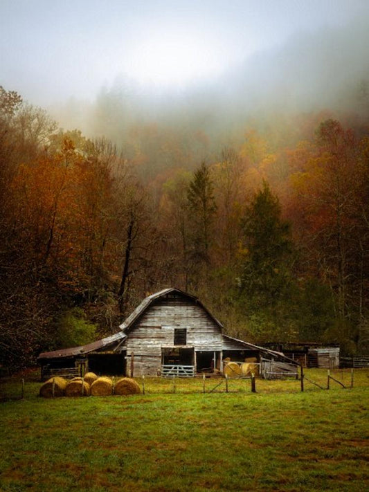 Autumn Glow Art Prints by Jason Clemmons
