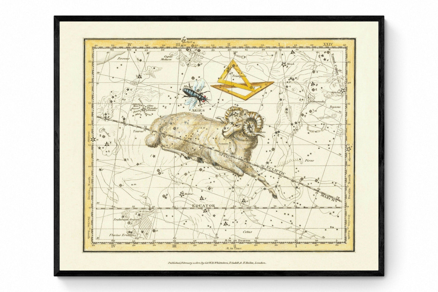 Aries, Triangula and Musca Constellations Antique Reproduction 1822